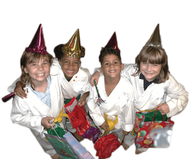 Martial Arts Birthday Party in Irvine CA - Happy Birthday Kids Party Footer Banner